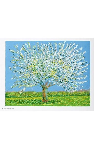 Книга XL. David Hockney. 220 for 2020 (9783836599115) 303100 фото
