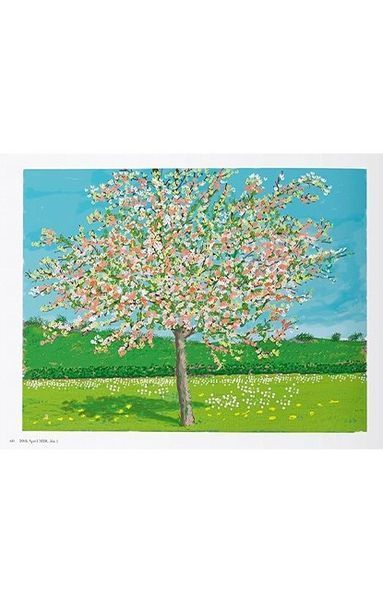 Книга XL. David Hockney. 220 for 2020 (9783836599115) 303100 фото