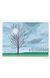 Книга XL. David Hockney. 220 for 2020 (9783836599115) 303100 фото 3
