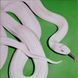 Вінілова платівка Deftones - Private Music 1LP (93624829034)