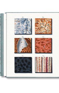 Книга Jan Christiaan Sepp. The Book of Marble (9783836594349,9783836584500) 9783836594349,9783836584500 фото