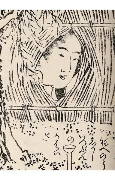 Книга Hokusai. Shunga (9783836596282) 303110 фото
