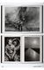 Книга Photo Icons. 50 Landmark Photographs and Their Stories (9783836577748) 9783836577748 фото 12