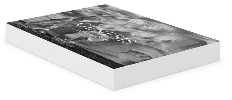 Книга Sebastiao Salgado. GENESIS. Postcard Set (9783836548014) 9783836548014 фото