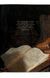 Книга Rembrandt. The Complete Paintings (9783836599085) 279900 фото 4