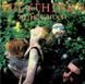 Вінілова платівка Eurythmics - In The Garden 1LP (190758116013) 190758116013 фото 1