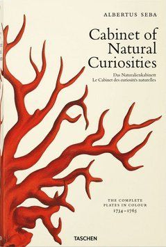 Книга Seba. Cabinet of Natural Curiosities (9783836569064) 9783836569064 фото