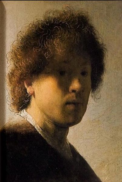 Книга Rembrandt. The Complete Paintings (9783836526326) 9783836526326 фото