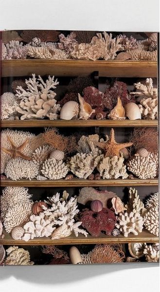 Книга Listri. Cabinet of Curiosities (9783836540353) 9783836540353 фото