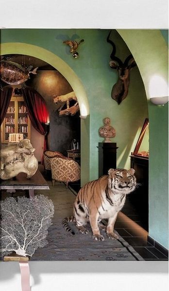 Книга Listri. Cabinet of Curiosities (9783836540353) 9783836540353 фото