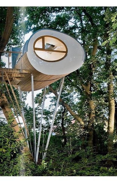 Книга Tree Houses. 40th Ed. (9783836593397) 279986 фото