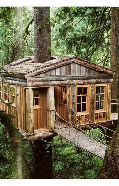 Книга Tree Houses. 40th Ed. (9783836593397) 279986 фото