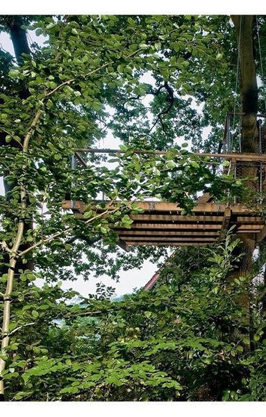 Книга Tree Houses. 40th Ed. (9783836593397) 279986 фото