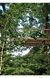Книга Tree Houses. 40th Ed. (9783836593397) 279986 фото 8