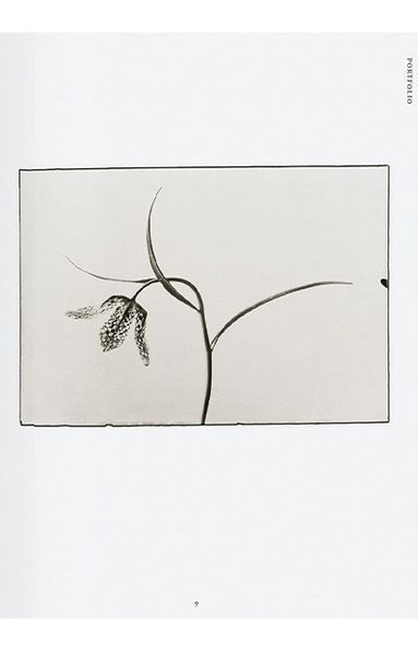 Книга Karl Blossfeldt. The Complete Published Work. 45th Ed. (9783836598514) 9783836598514 фото