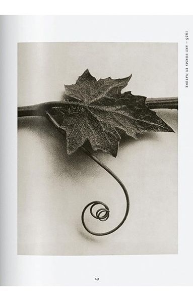 Книга Karl Blossfeldt. The Complete Published Work. 45th Ed. (9783836598514) 9783836598514 фото