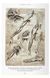 Книга Leonardo. The Complete Drawings (9783836554411) 62835 фото 6