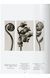 Книга Karl Blossfeldt. The Complete Published Work. 45th Ed. (9783836598514) 9783836598514 фото 8