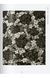 Книга Karl Blossfeldt. The Complete Published Work. 45th Ed. (9783836598514) 9783836598514 фото 12
