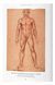 Книга Leonardo. The Complete Drawings (9783836554411) 62835 фото 4