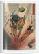 Книга Japanese Woodblock Prints (9783836585545) 9783836585545 фото 7