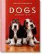 Книга Dogs: Photographs 1941-1991 (9783836584296) 9783836584296 фото 1