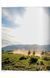 Книга Great Escapes USA. The Hotel Book (9783836584319) 9783836584319 фото 8