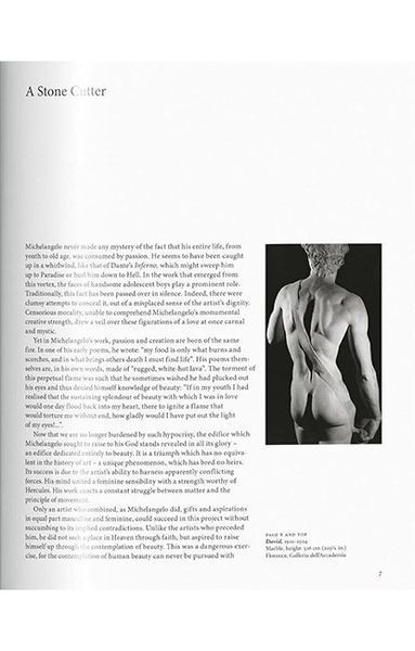 Книга Michelangelo (9783836530347) 9783836530347 фото