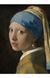 Книга Vermeer. The Complete Works. 45th Ed. (9783836587921) 9783836587921 фото 3