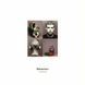 Вінілова платівка Pet Shop Boys - Behaviour&nbsp;(180&nbsp;Gr&nbsp;Black) 1LP (190295821746)