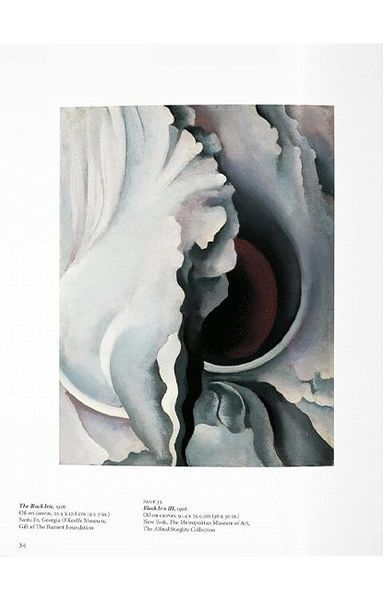 Книга O'Keeffe (9783836542319) 62794 фото