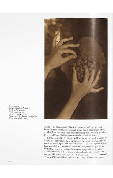 Книга O'Keeffe (9783836542319) 62794 фото