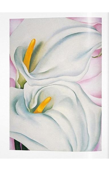 Книга O'Keeffe (9783836542319) 62794 фото