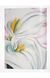 Книга O'Keeffe (9783836542319) 62794 фото 6