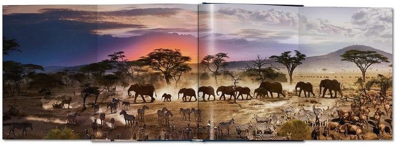 Книга Stephen Wilkes. Day to Night (9783836592574) 9783836592574 фото