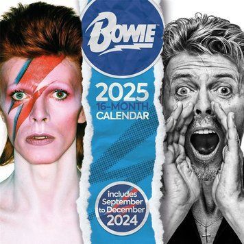 Календар David Bowie - 2025&nbsp;Official&nbsp;Calendar (9781804231524) 9781804231524 фото