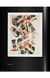 Книга Andy Warhol. Polaroids 1958-1987 (9783836569385) 9783836569385 фото 10