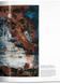 Книга Ensor (Basic Art Series 2.0) (9783836560566) 9783836560566 фото 3