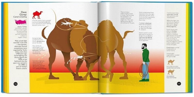 Книга Crazy Competitions (9783836539081) 9783836539081 фото