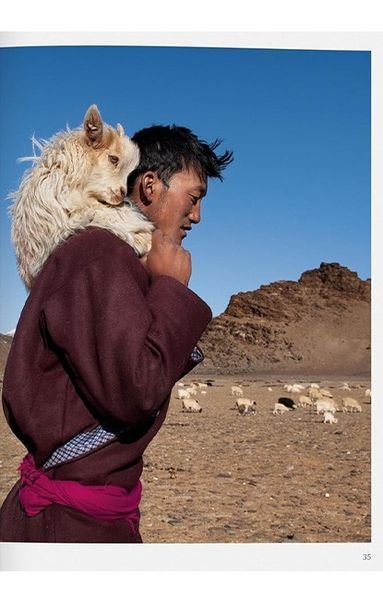 Книга Steve McCurry. Animals (9783836597036) 9783836597036 фото