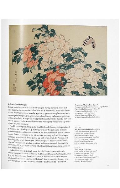 Книга Hokusai (9783836563376) 89461 фото