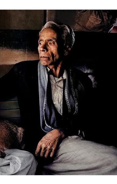 Книга Steve McCurry. Animals (9783836597036) 9783836597036 фото
