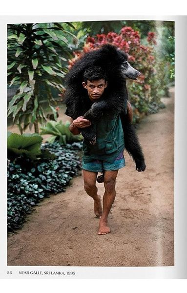Книга Steve McCurry. Animals (9783836597036) 9783836597036 фото