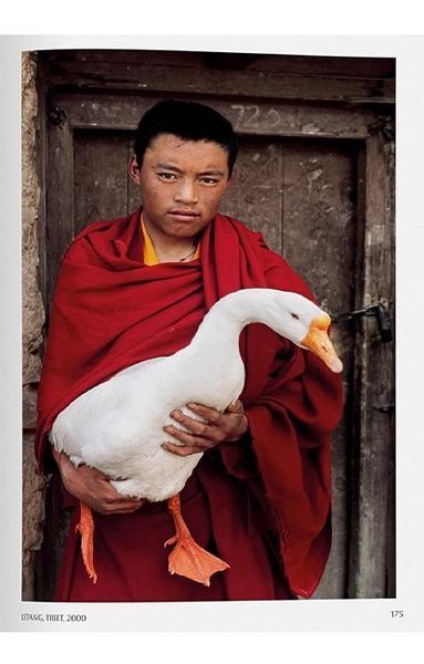 Книга Steve McCurry. Animals (9783836597036) 9783836597036 фото