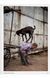 Книга Steve McCurry. Animals (9783836597036) 9783836597036 фото 5