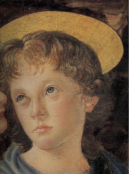 Книга Leonardo. The Complete Paintings and Drawings (9783836576253) 9783836576253 фото