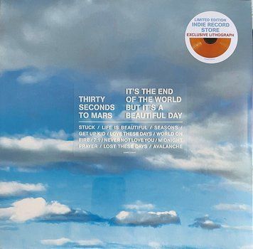 Вінілова платівка Thirty Seconds To Mars - It'S The End Of The World But It'S A Beautiful Day (Orange Vinyl) 1LP (888072516441) 888072516441 фото