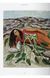 Книга Frida Kahlo. 40th Ed. (9783836594851) 9783836594851 фото 11