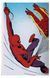 Книга Marvel Comics Library. Spider-Man. 1962-1964 (9783836598583) 9783836598583 фото 4