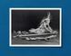 Книга Sebastiao Salgado. Amazonia. Postcard Set (9783836589383) 280072 фото 8